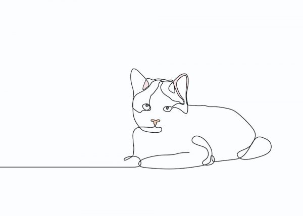 Ilustración Gato 2