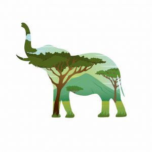 Ilustración Elefante Doble